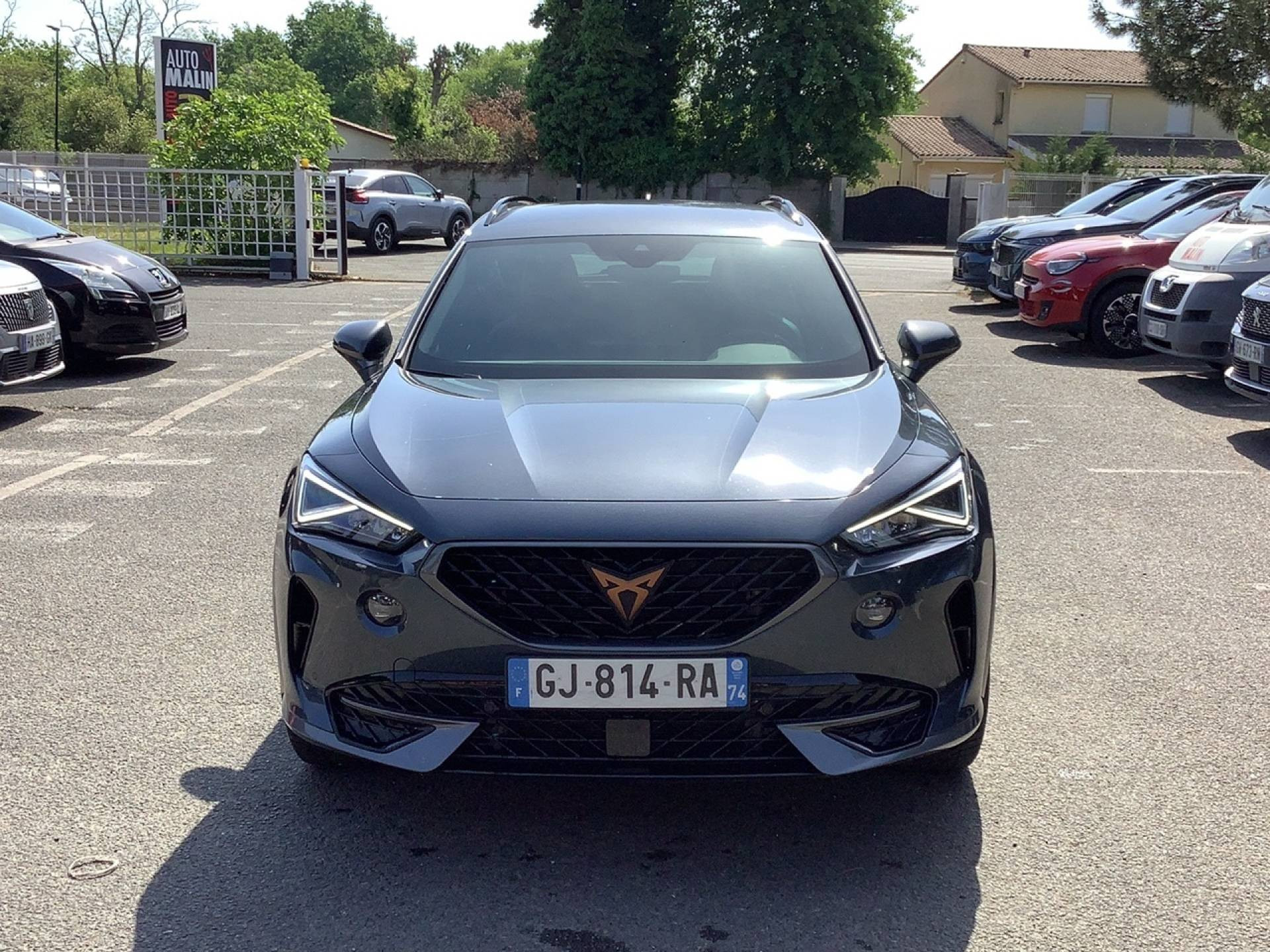 CUPRA FORMENTOR BUSINESS EDITION 2.0 TDI 150 CV BVM6