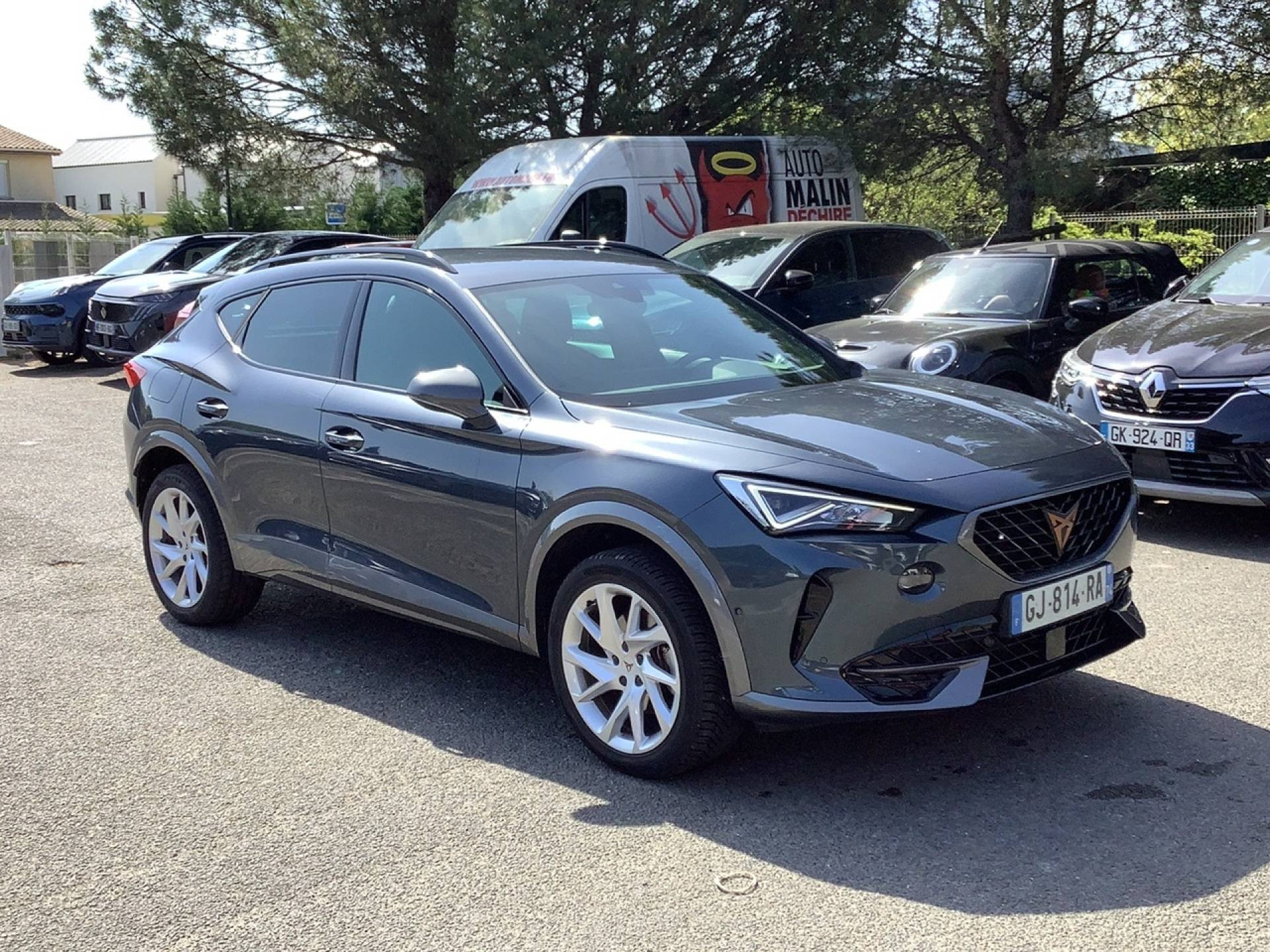 CUPRA FORMENTOR BUSINESS EDITION 2.0 TDI 150 CV BVM6